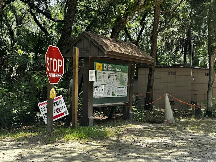Fore Lake Campground 4