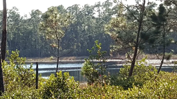 Fore Lake Campground 3
