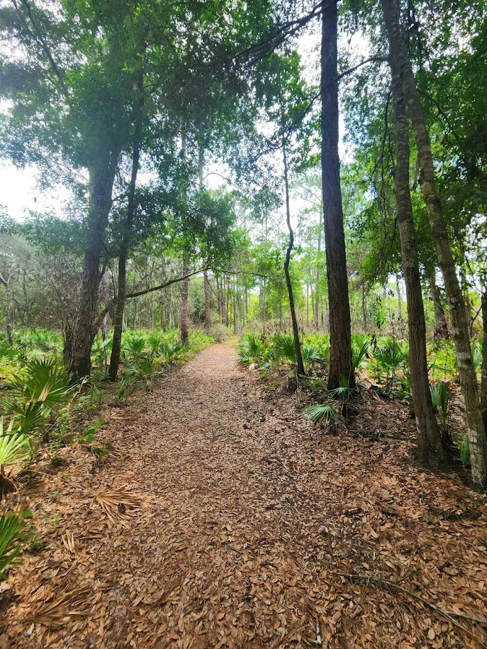 Ocklawaha Prairie Campgrounds 0