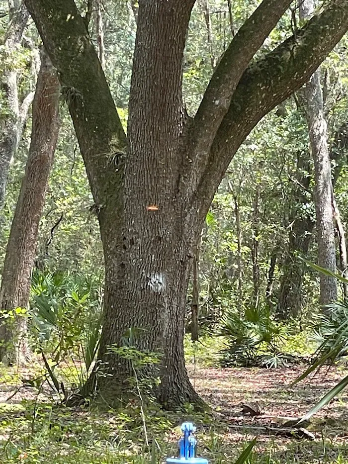 Ocklawaha Prairie Campgrounds 5