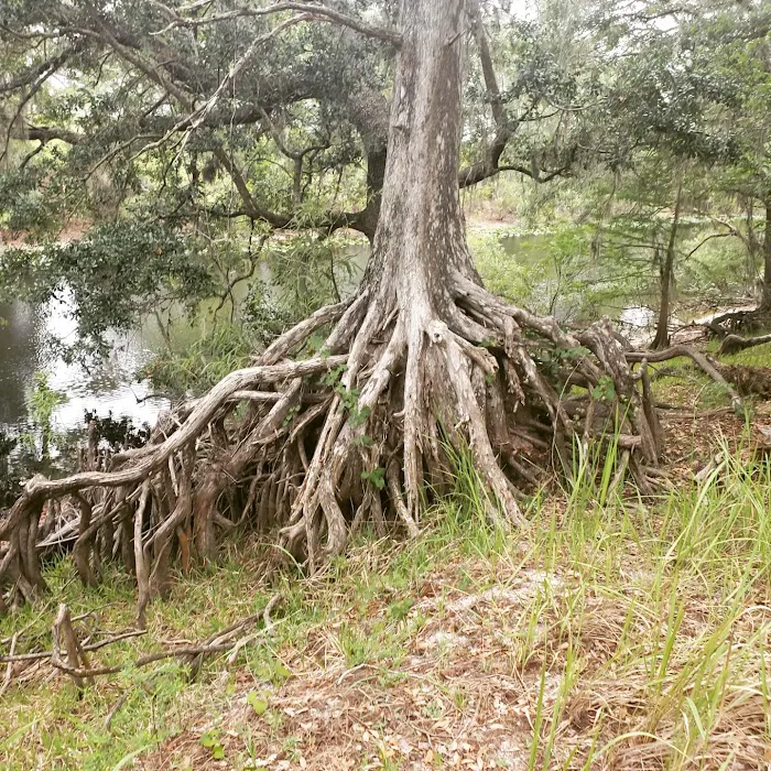 Ocklawaha Prairie Campgrounds 3