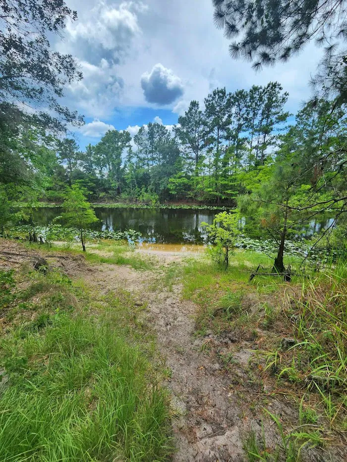 Ocklawaha Prairie Campgrounds 2