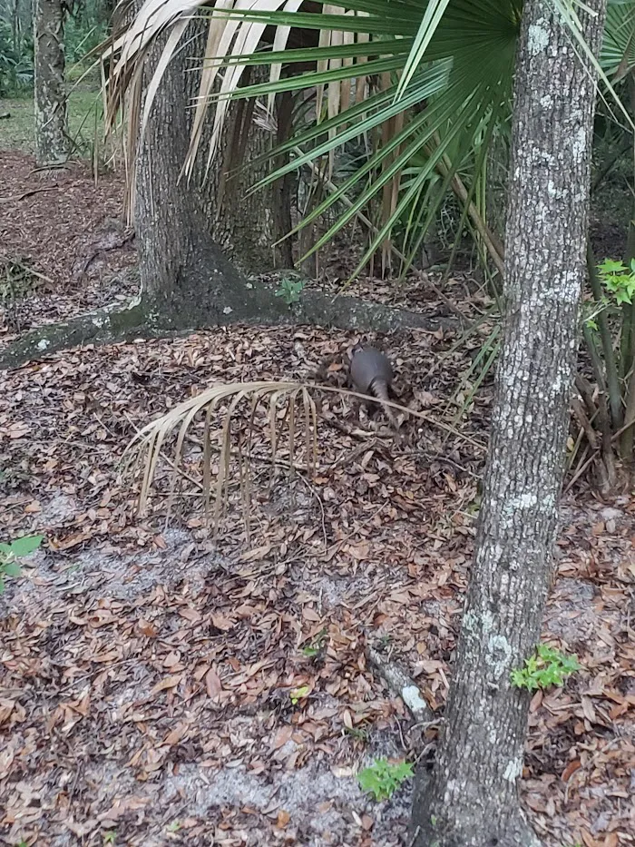 Ocklawaha Prairie Campgrounds 8