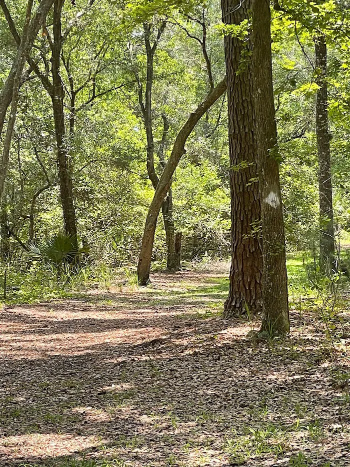 Ocklawaha Prairie Campgrounds 7