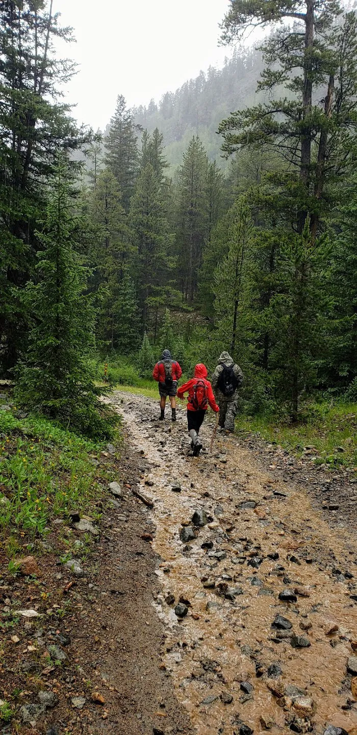 Gold Creek Campground - Gunnison RD 9
