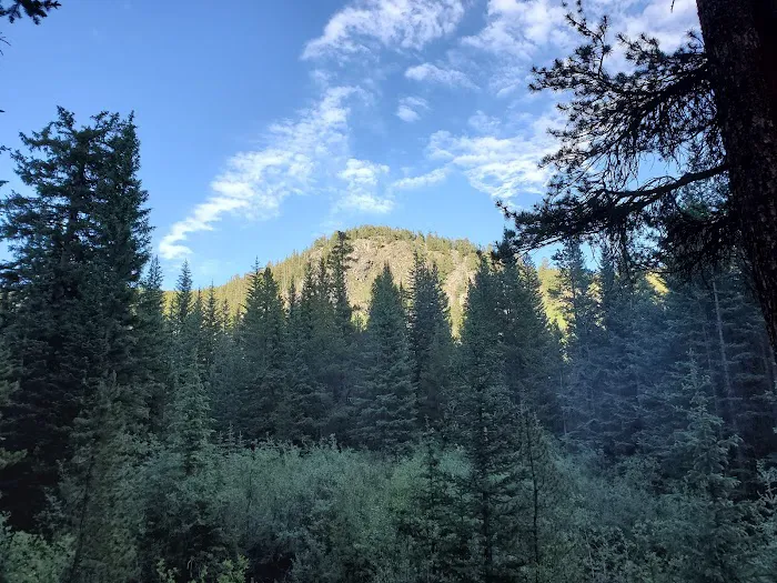 Gold Creek Campground - Gunnison RD 4