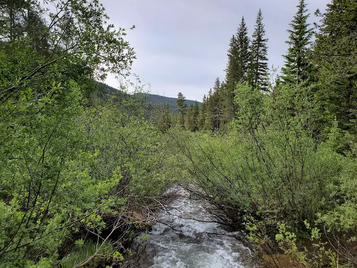 Gold Creek Campground - Gunnison RD 5
