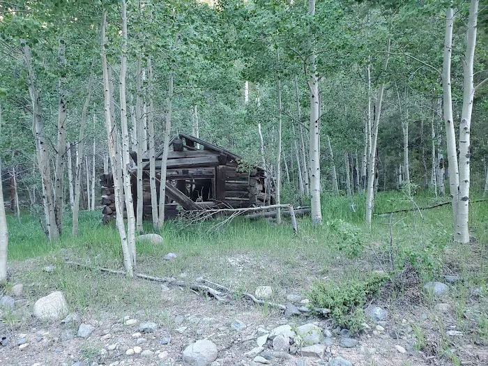Gold Creek Campground - Gunnison RD 0
