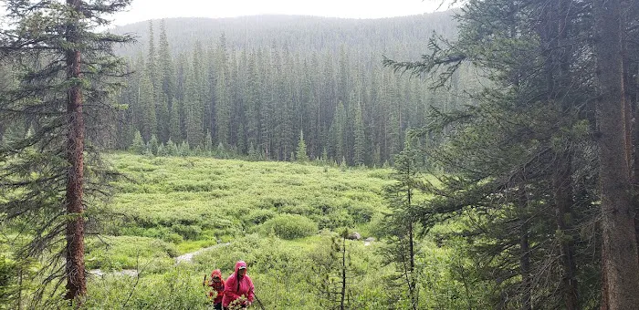 Gold Creek Campground - Gunnison RD 6