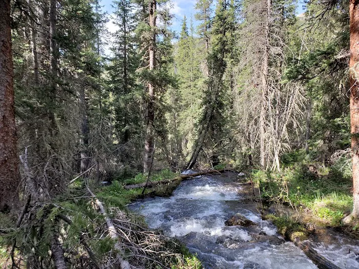 Gold Creek Campground - Gunnison RD 8