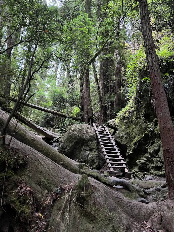 Mount Tamalpais State Park 4
