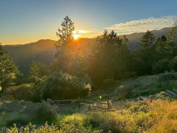 Mount Tamalpais State Park 2