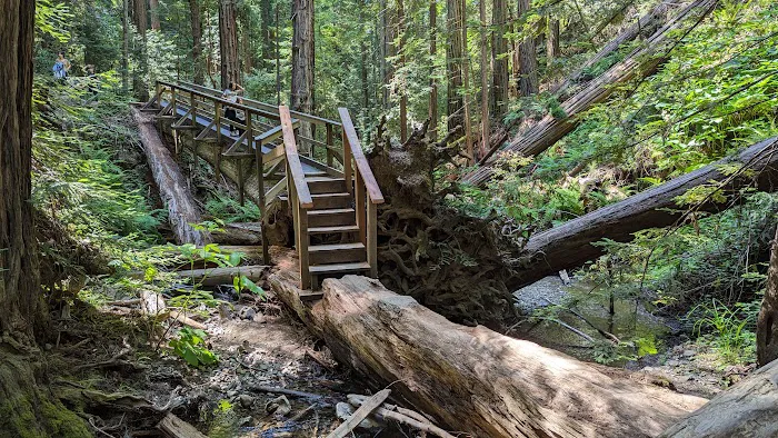 Mount Tamalpais State Park 6