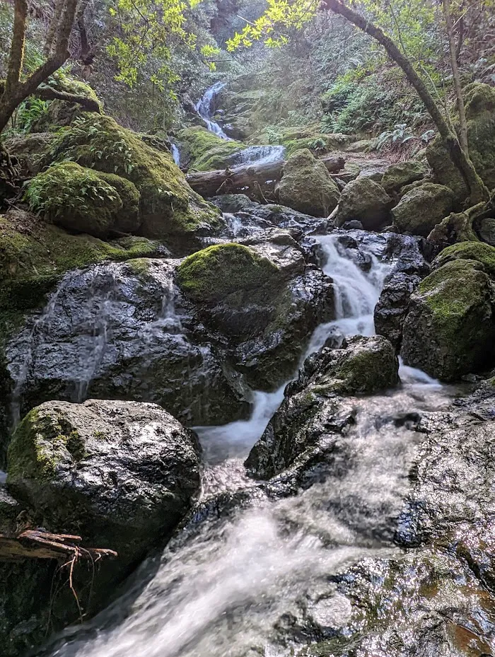 Mount Tamalpais State Park 7