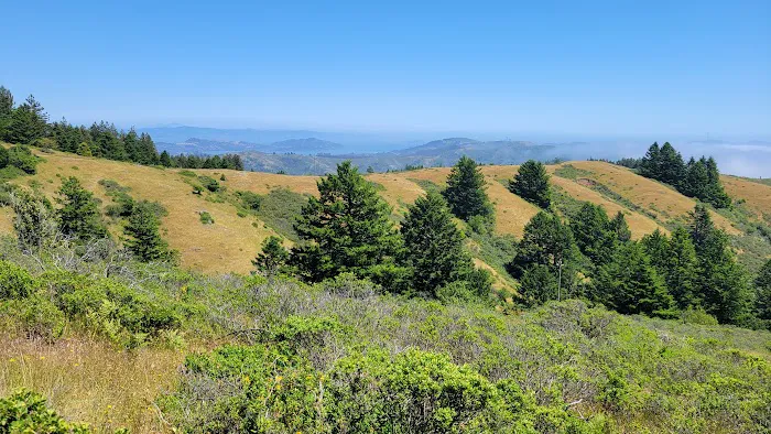 Mount Tamalpais State Park 8