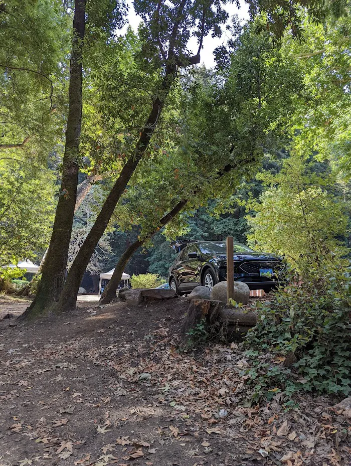 Fernwood Campground and Resort 0