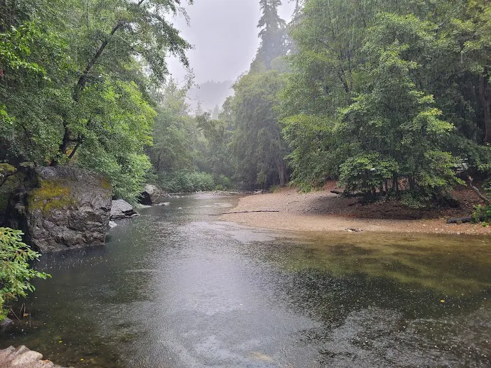Fernwood Campground and Resort 5