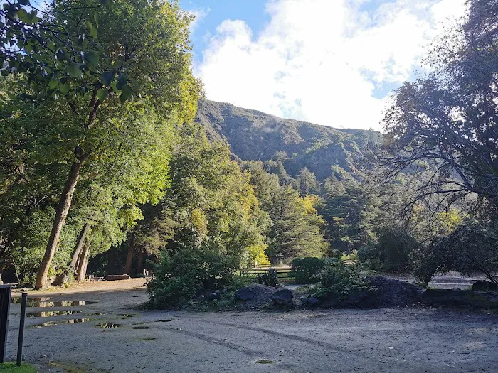 Fernwood Campground and Resort 8
