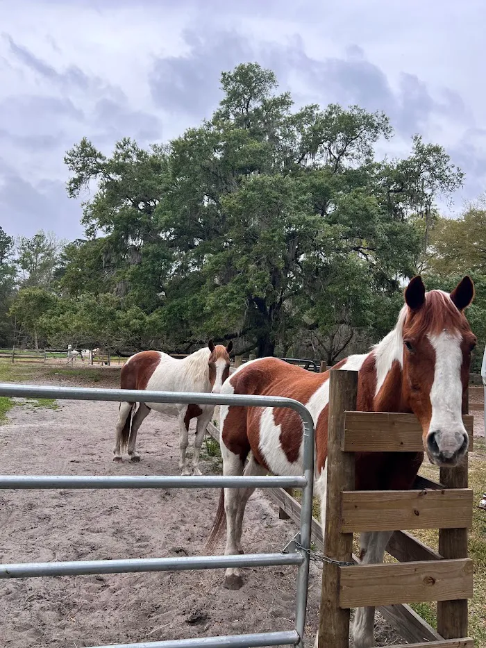 The Griffin Ranch 9