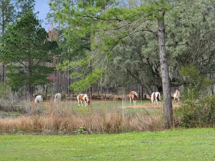 The Griffin Ranch 6