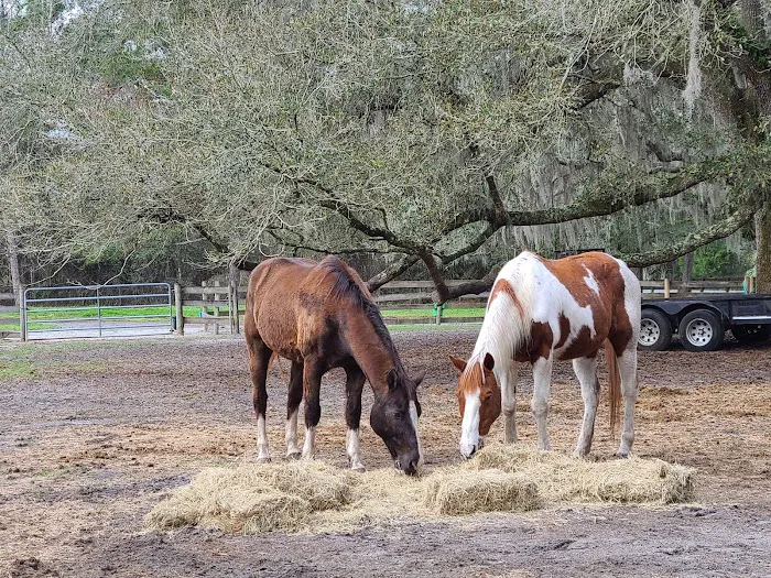 The Griffin Ranch 2