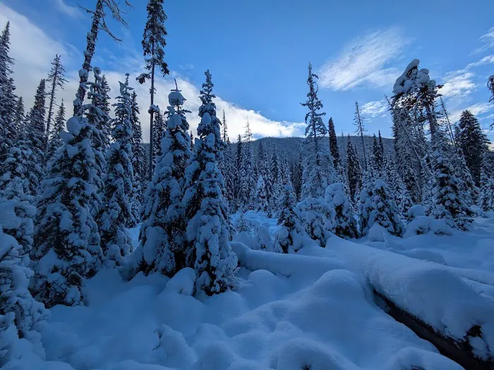 Manning Park Resort 3