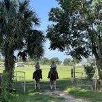 Diamond Oaks Farm Dude Ranches Ocala Florida