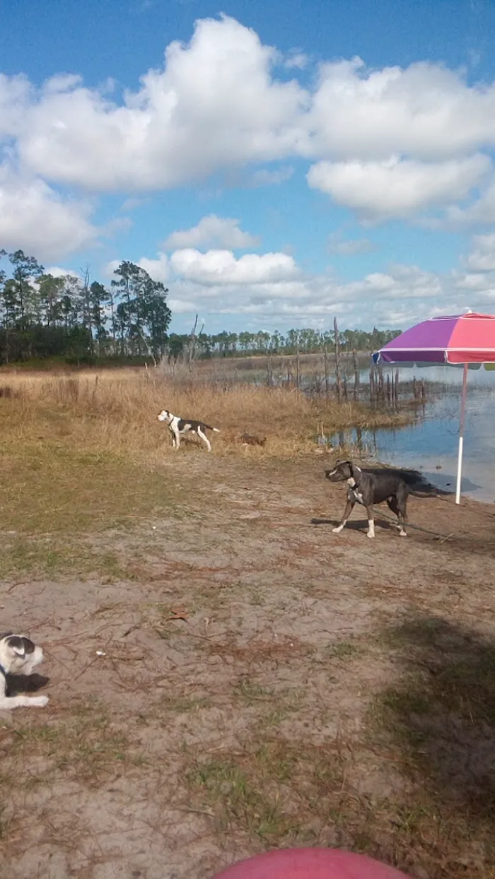 Big Bass Campground 8