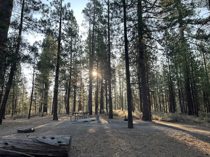 LaPine State Park Campground 7