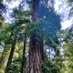 Grand Teton National Park