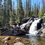 Medicine Bow-Routt National Forest