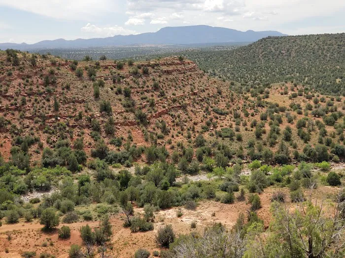 Prescott National Forest 3
