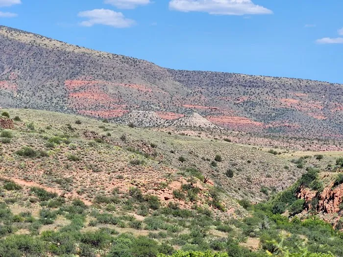 Prescott National Forest 5