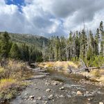 Arapaho and Roosevelt National Forests and Pawnee National Grassland