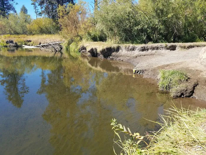 Rosland Campground 6