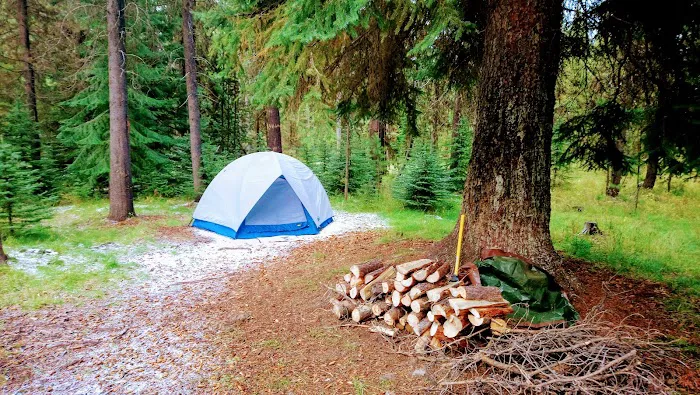 Cow Meadow Campground 5