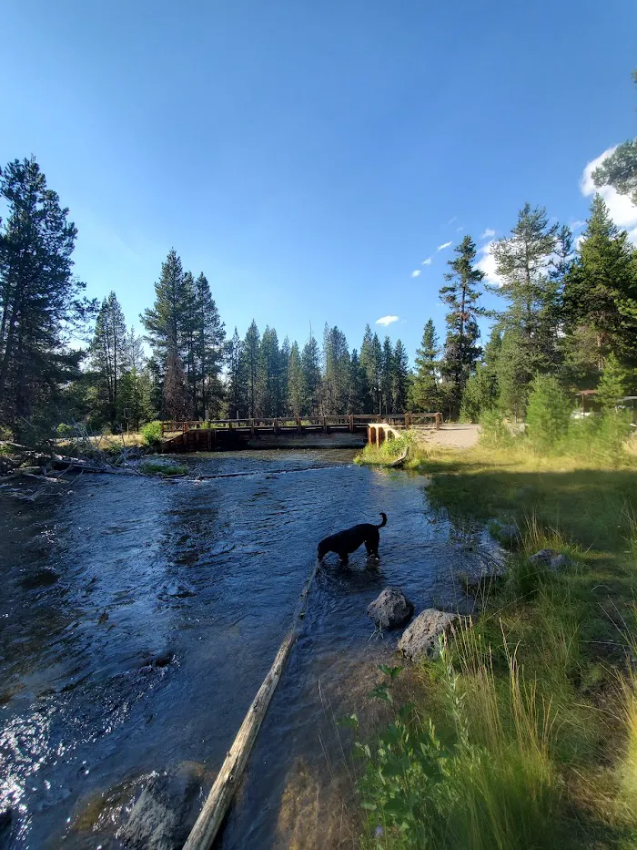 Cow Meadow Campground 2