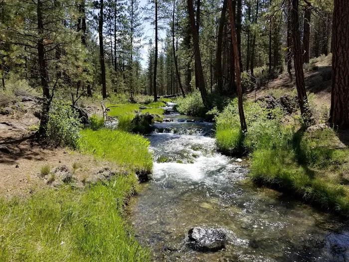 Newberry National Volcanic Monument 6