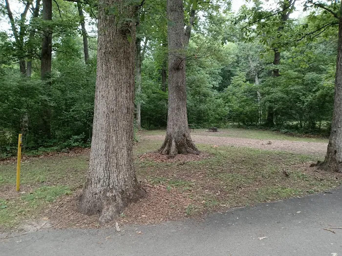 White Oak Campground 6