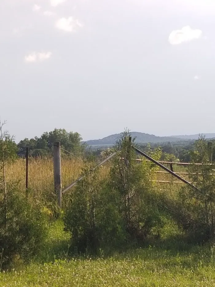 Linden Campground 6