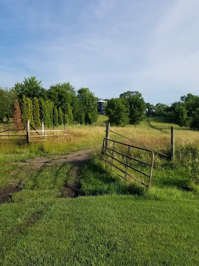 Linden Campground 7