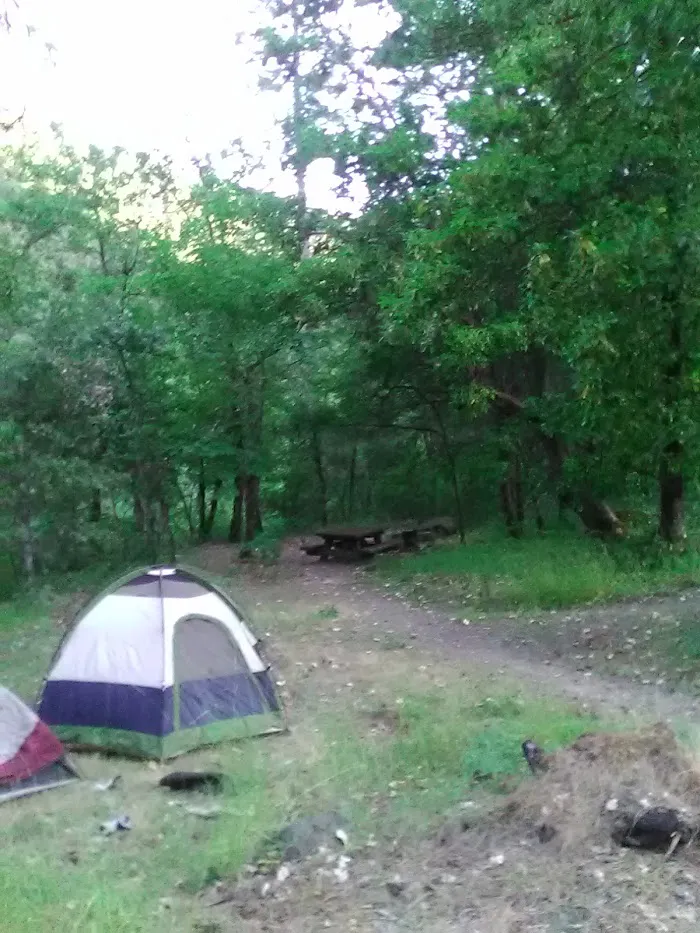 Fort Goff Campground 4