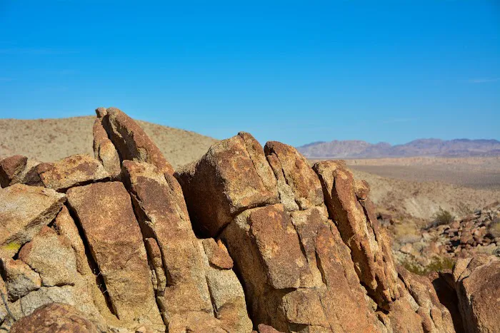 Agua Caliente County Park 5