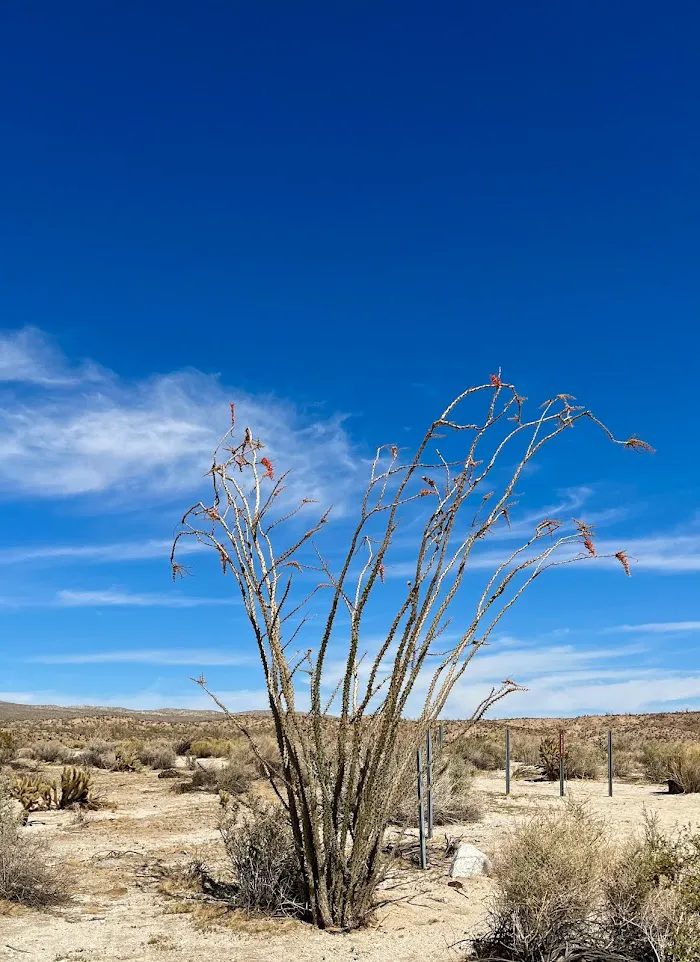 Agua Caliente County Park 4