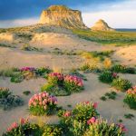 Pawnee National Grassland