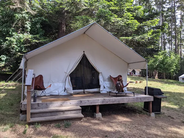 Mendocino Grove 4
