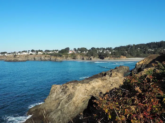Mendocino Grove 8