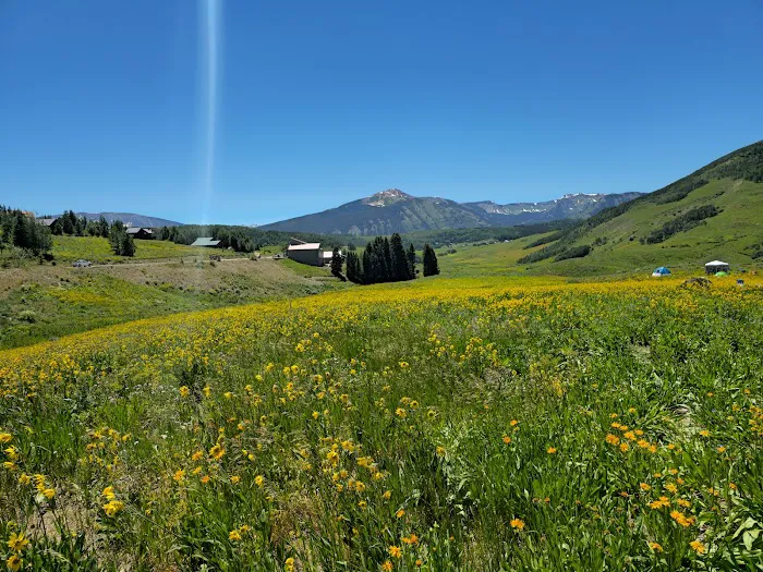 Mt Crested Butte Campground 1
