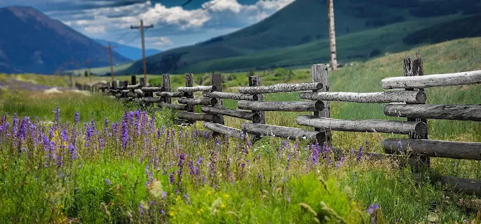 Mt Crested Butte Campground 7