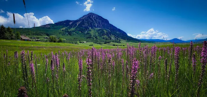 Mt Crested Butte Campground 4
